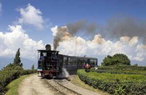 दार्जीलिंग में घूमने की सबसे खूबसूरत जगह कौन सी हैं |Darjeeling Me Ghumne Ki Sabse Khoobsurat Jagah Kon Si Hain