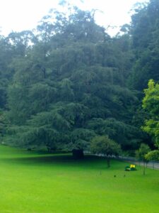 इस गर्मी में ऊटी की खूबसूरत वादियों में बिताएं सुकून के पल|Is Garmi Me Ooty Ki Khoobsurat Vadiyon Me Bitaen Sukoon Ke Pal