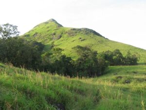 वायनाड मानसून में घूमने की सबसे अच्छी जगह |Wayanad Mansoon Me Ghoomne Ki Sabse Achchhi Jagah