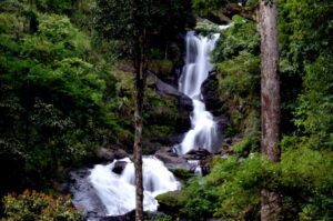 वायनाड मानसून में घूमने की सबसे अच्छी जगह |Wayanad Mansoon Me Ghoomne Ki Sabse Achchhi Jagah