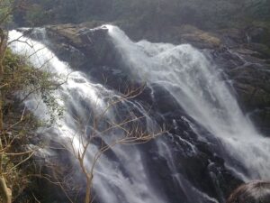 वायनाड मानसून में घूमने की सबसे अच्छी जगह |Wayanad Mansoon Me Ghoomne Ki Sabse Achchhi Jagah