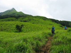 वायनाड मानसून में घूमने की सबसे अच्छी जगह |Wayanad Mansoon Me Ghoomne Ki Sabse Achchhi Jagah