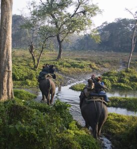 इस मानसून में भारत में घूमने के लिए 5 रोचक टाइगर सफारी|Is Mansoon Me Bharat Me Ghoomne Ke Liye 5 Rochak Tiger Safari