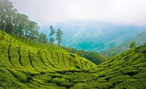 Baadalon ke Shahar Munnar Ki Baarish Bhari Vaadiyaan Ek Maanasooni Safaranaama 2025
