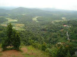 Maanasoon mein Coorg Ghoomne Ki Poori Gaid Jharanon, Hariyaali aur Shaanti Ka Sangam