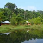 Maanasoon mein Coorg Ghoomne Ki Poori Gaid Jharanon, Hariyaali aur Shaanti Ka Sangam