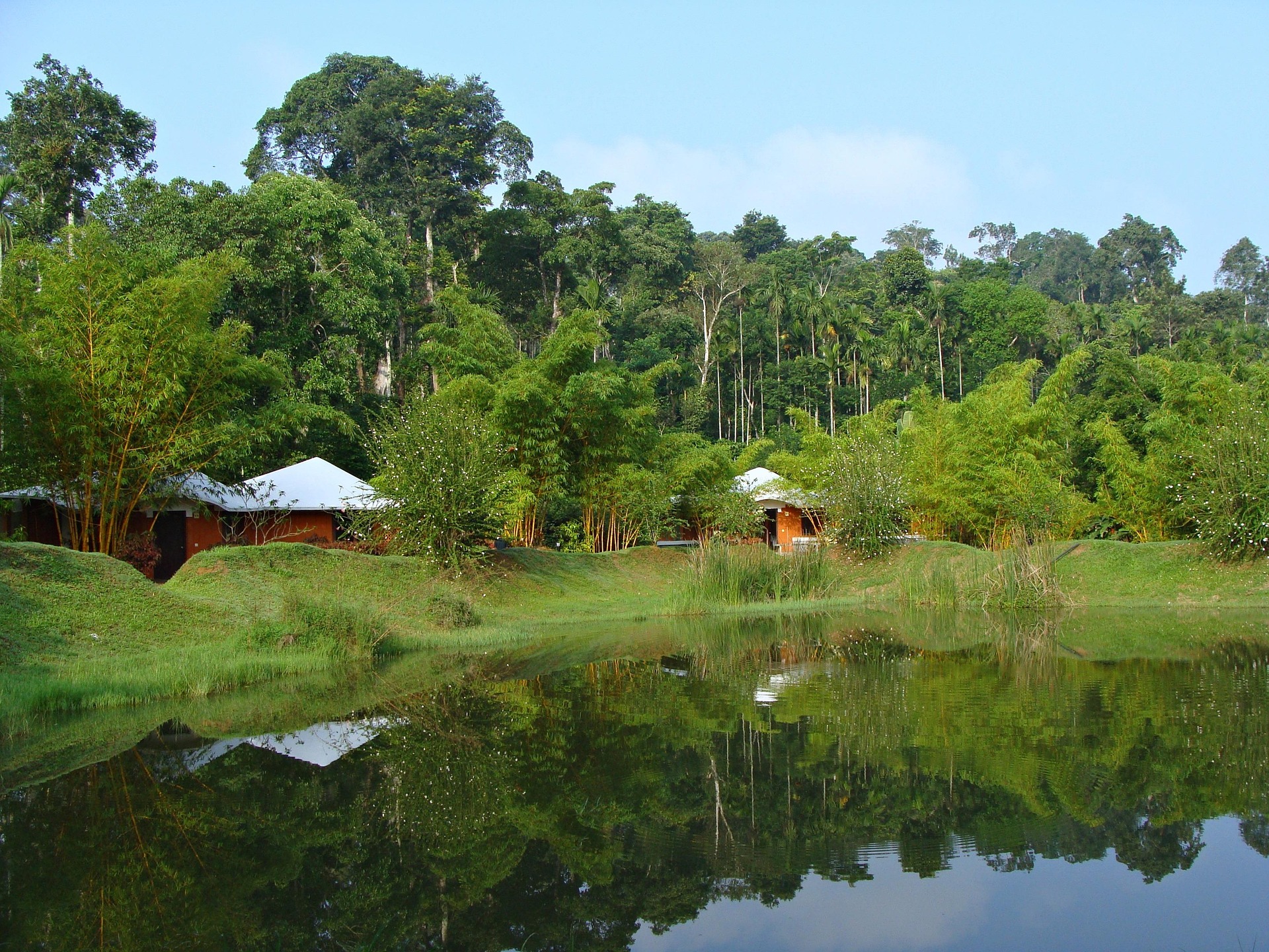 Maanasoon mein Coorg Ghoomne Ki Poori Gaid Jharanon, Hariyaali aur Shaanti Ka Sangam