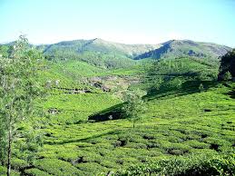 Baadalon ke Shahar Munnar Ki Baarish Bhari Vaadiyaan Ek Maanasooni Safaranaama 2025