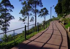 Kodaikanal Mansoon Adventure Tamil Nadu Ka Badalon Main Basa Khazana 2025