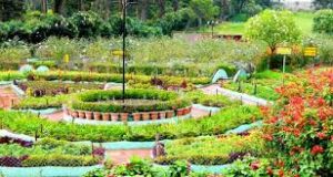 Kodaikanal Mansoon Adventure Tamil Nadu Ka Badalon Main Basa Khazana 2025