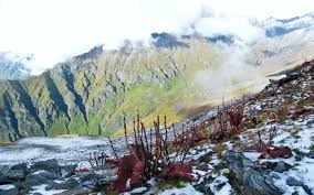 Valley of Flowers Yaatra Gaid 2025 Maansoon Mein Kya Dekhen, Kaise Pahunche?