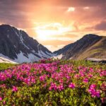 Valley of Flowers Yaatra Gaid 2025 Maansoon Mein Kya Dekhen, Kaise Pahunche?