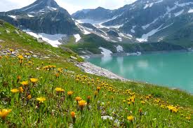 Valley of Flowers Yaatra Gaid 2025 Maansoon Mein Kya Dekhen, Kaise Pahunche?