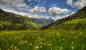 Valley of Flowers Yaatra Gaid 2025 Maansoon Mein Kya Dekhen, Kaise Pahunche?